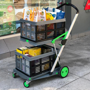 Carrinho de Compras Portátil + 2 Cestas